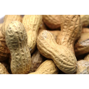 CACAHUETE TOSTADO CON LEÑA DE ENCINA B. DE 500 G